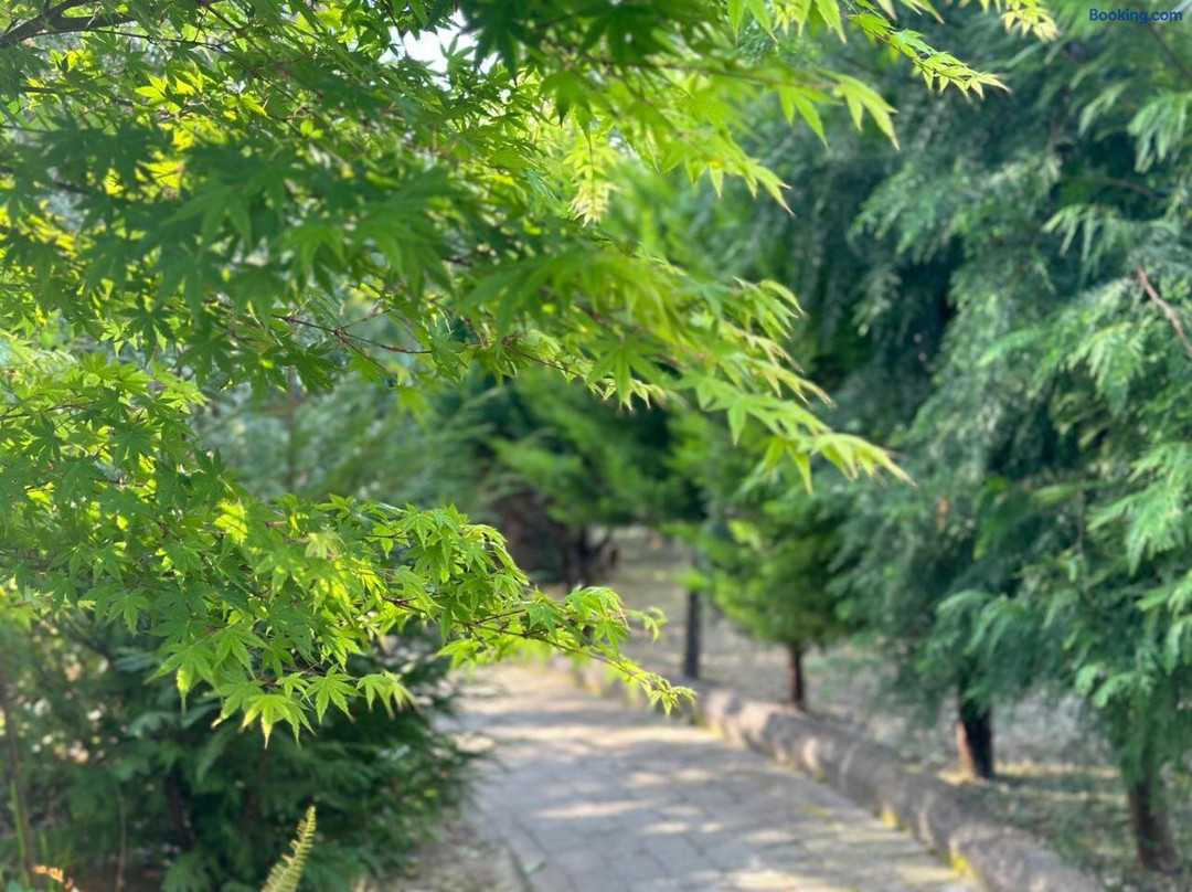 生态之家聂树