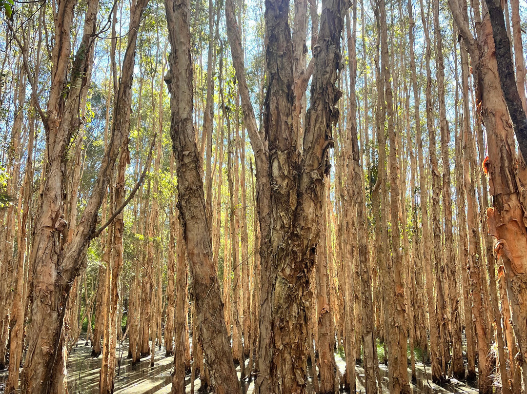 ecoTekk Sunshine Coast-Alexandra Headland必去景点