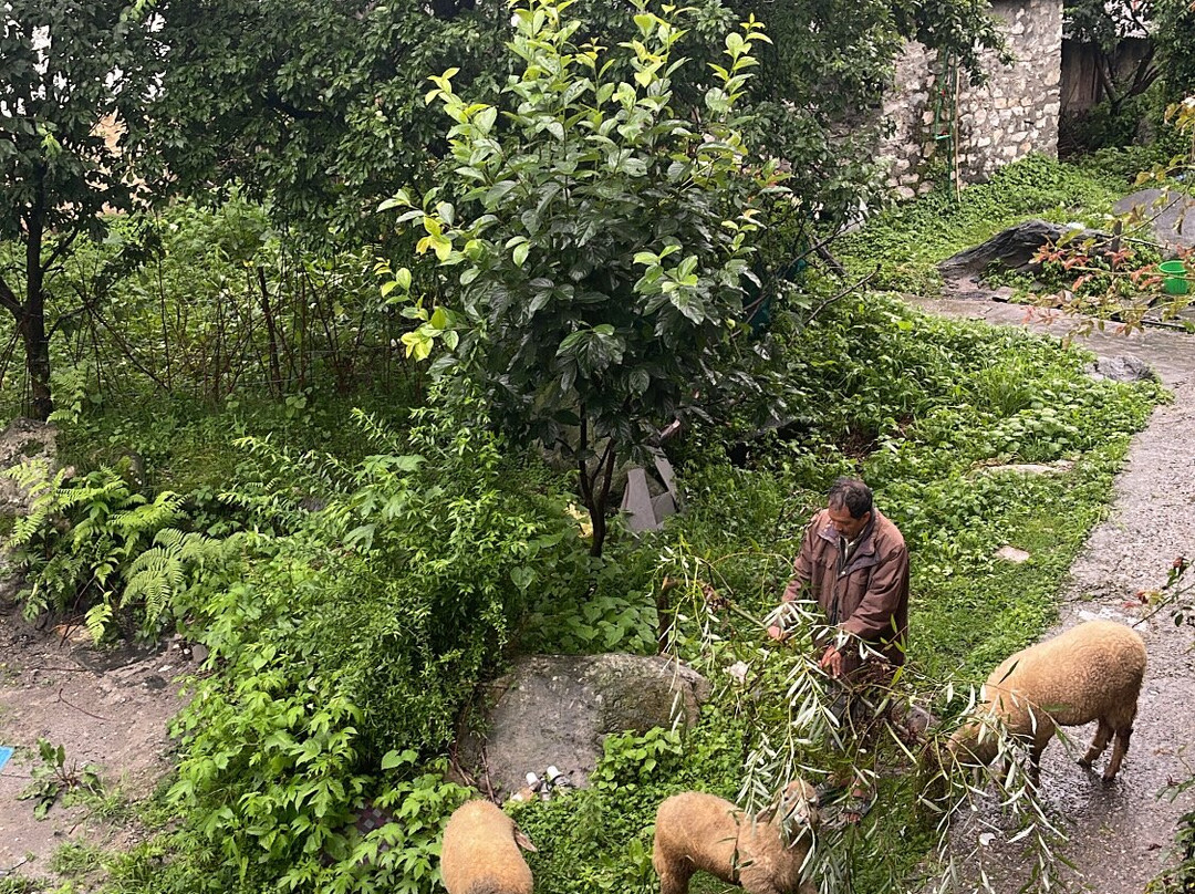 River View Homestay主图