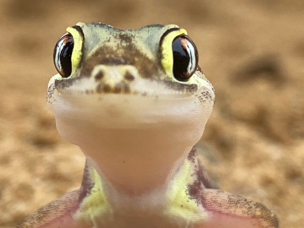 Tommy's Tours and Safaris-斯瓦科普蒙德必去景点