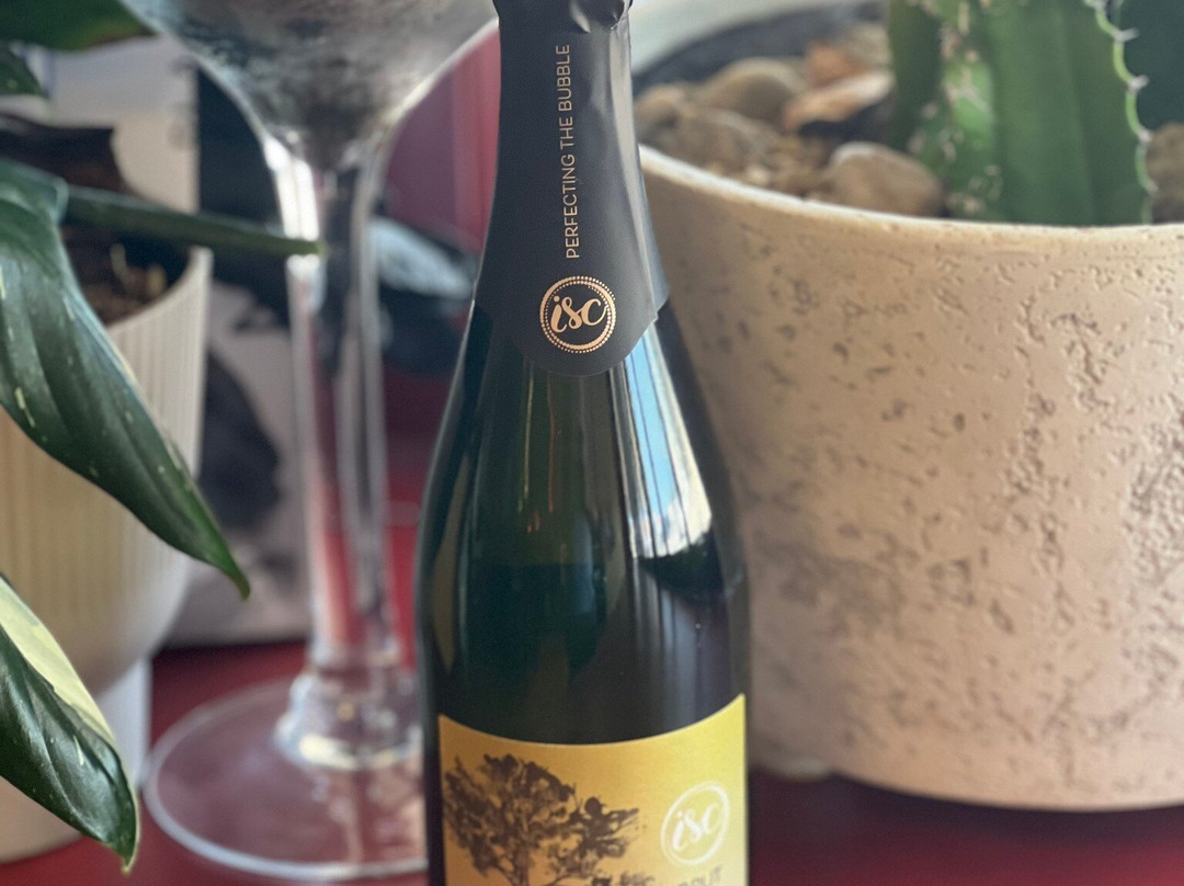 It's All About Wine-斯普林菲尔德必去景点