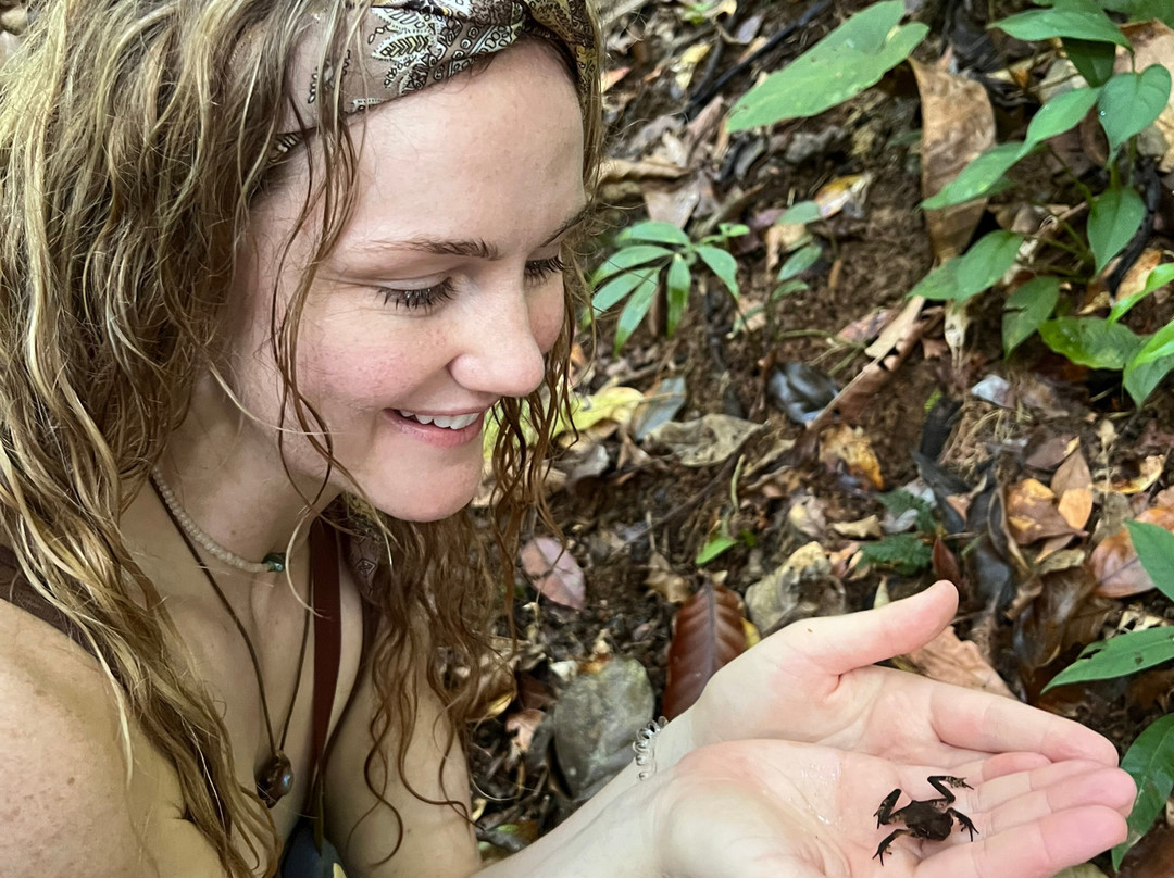 Osa Magic Adventures-Bahia Drake必去景点