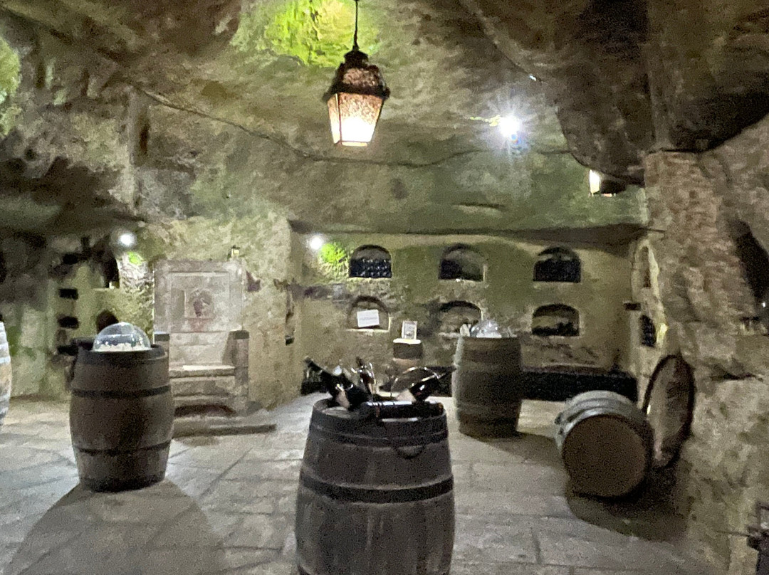 Caves Louis de Grenelle-梭缪尔必去景点