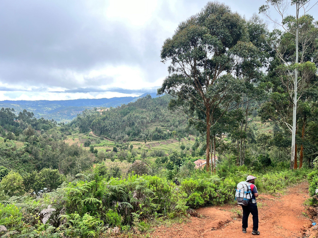 Usambara  Adventures-卢绍托必去景点