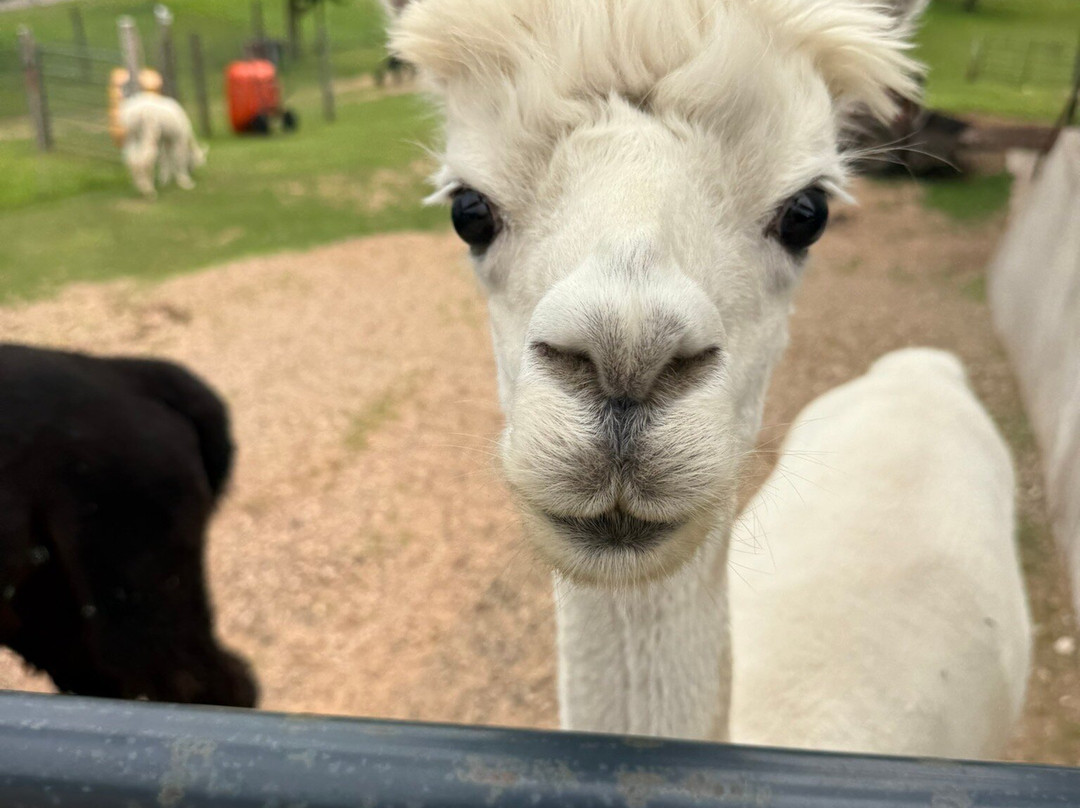 Rainbow Gifts and Yarn-Norway必去景点