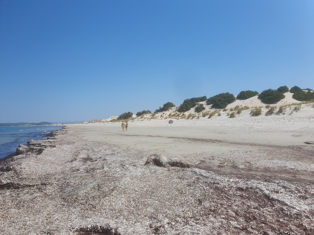 Spiaggia Is Arenas Biancas-Teulada必去景点