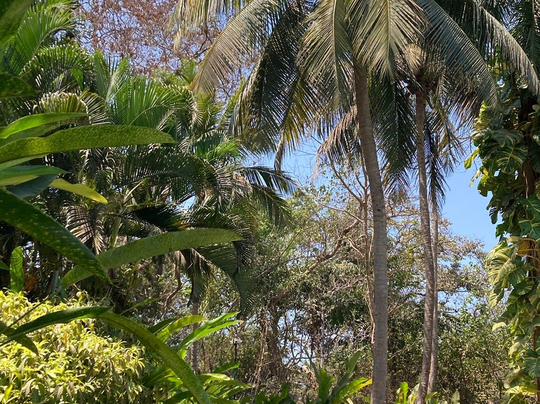 Granpa's Inn Hotel Bougainvillea主图