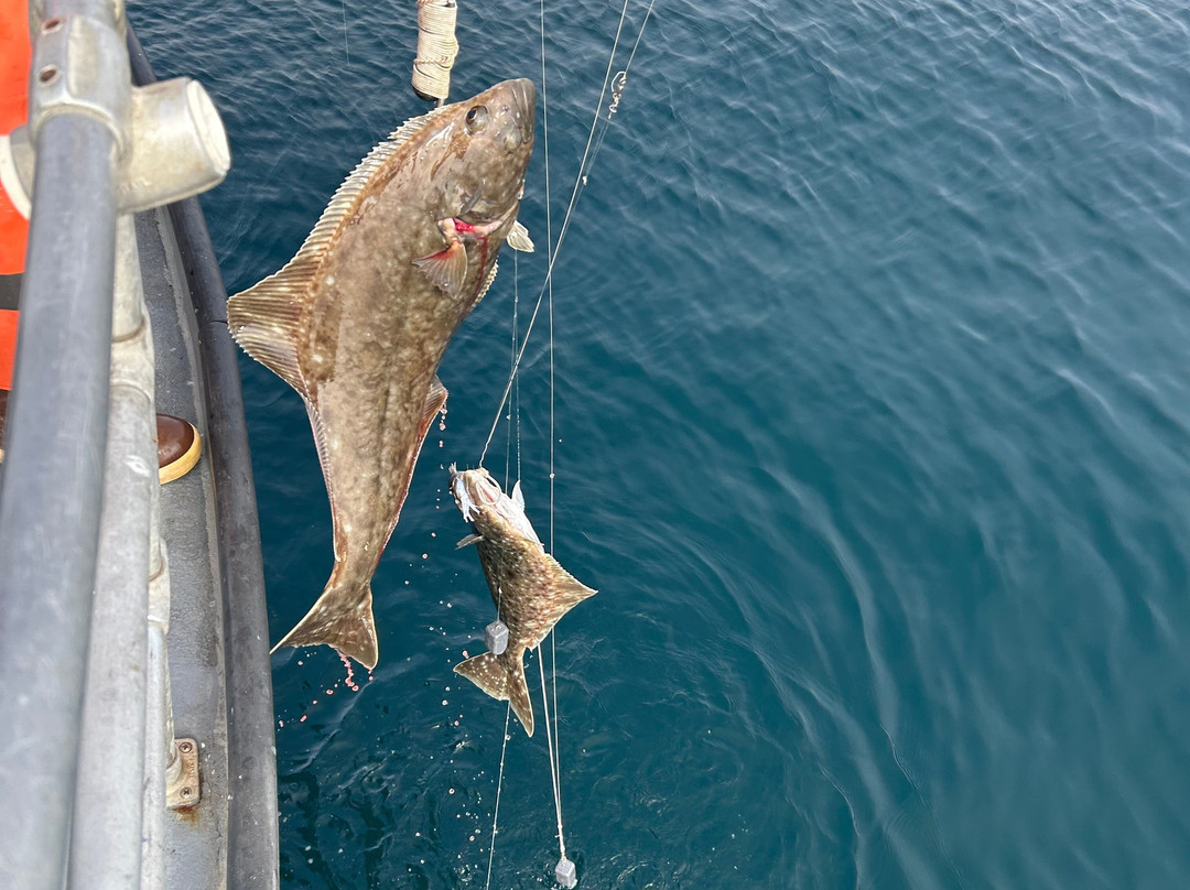 Inlet Charters Across Alaska Adventures-荷马必去景点