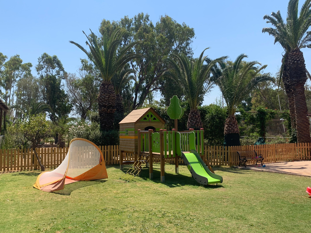 Apollonia Beach Resort & Spa主图