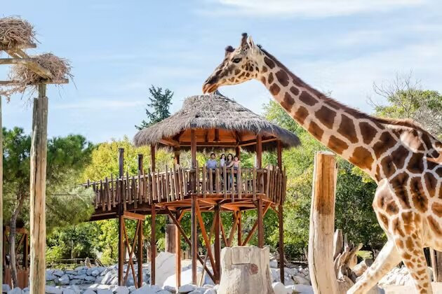 Kolmården Zoo-Kolmarden必去景点