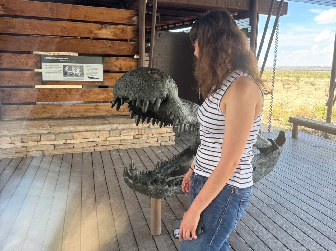 Big Bend National Park - Fossil Bone Exhibit-大弯国家公园必去景点