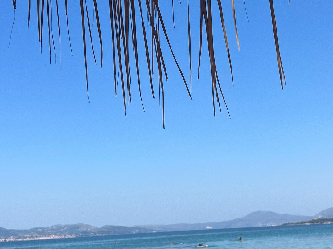 Paliostafida Beach-Lassi必去景点