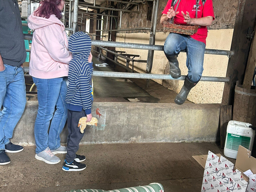 Isle of Mull Cheese-Tobermory必去景点