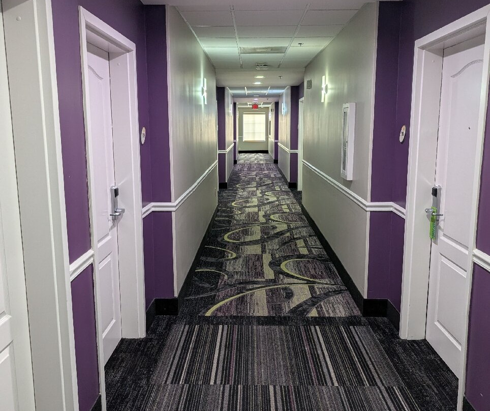 La Quinta Inn & Suites by Wyndham Baton Rouge Denham Springs主图