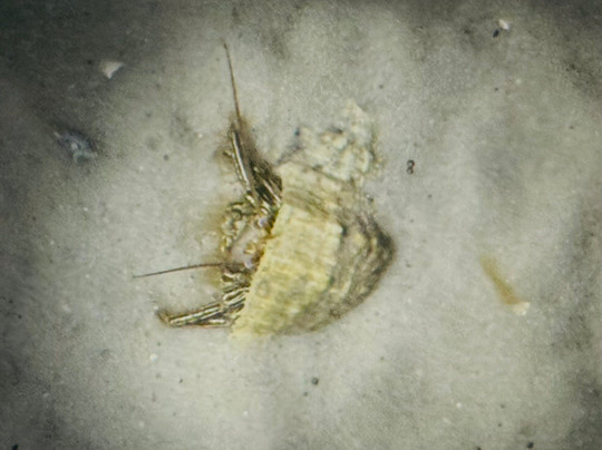 Sea View Tours-橙色海湾必去景点