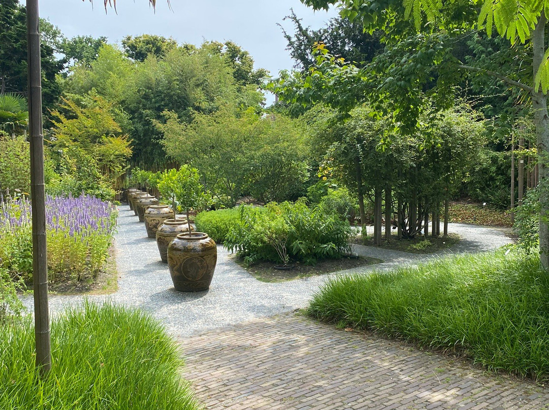 Hortus Botanicus Leiden-莱顿必去景点