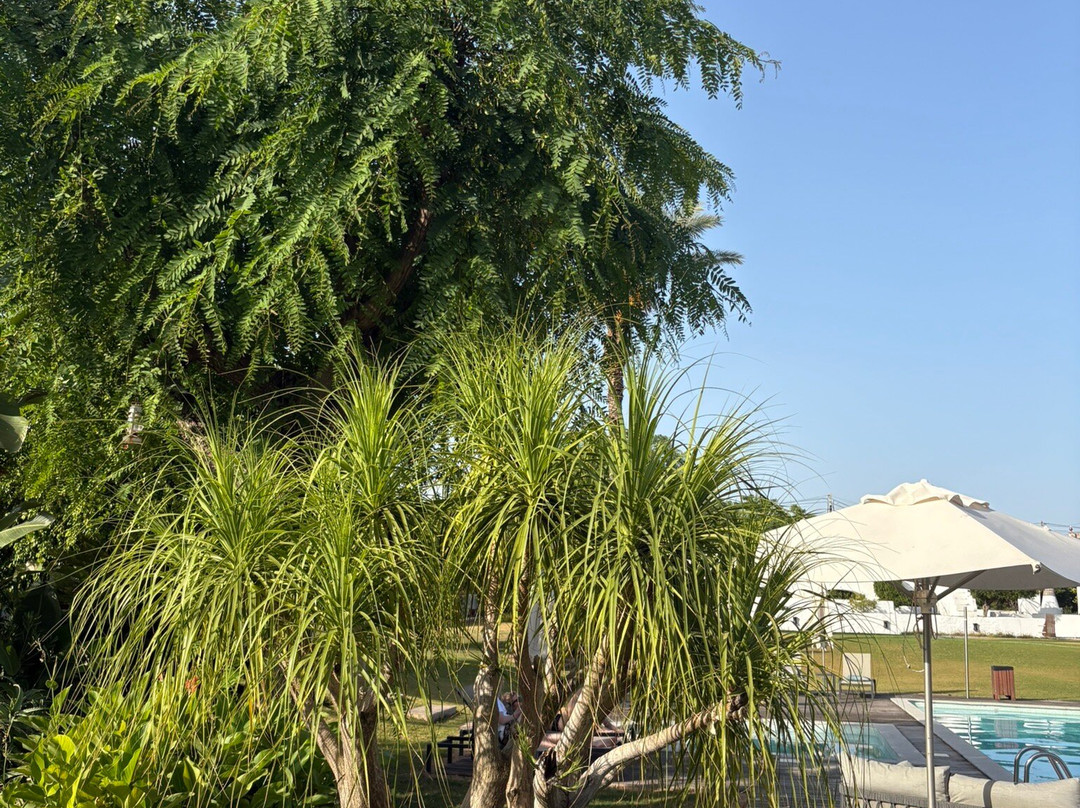 Quinta de Santa Margarida - Charm Country House主图