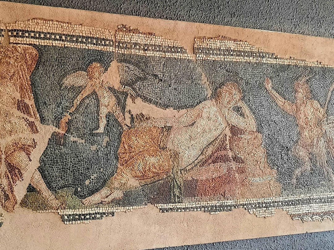 Archaeological Museum of Izmir-伊兹密尔必去景点