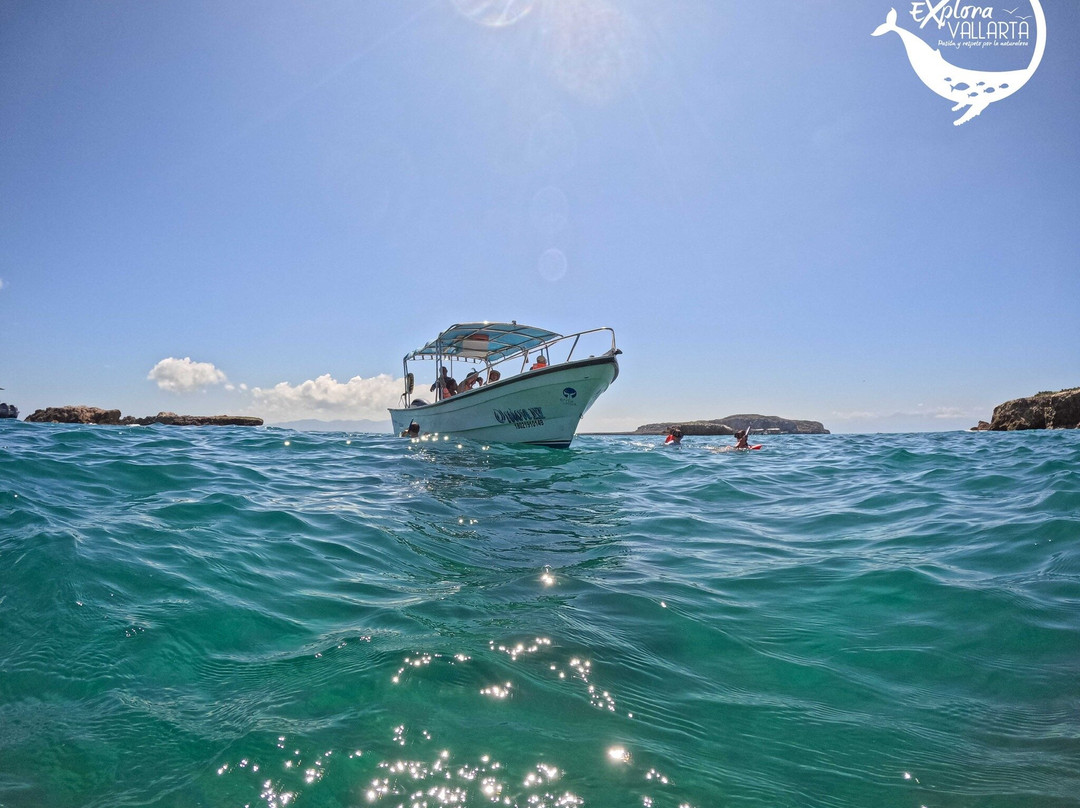 Explora Vallarta-瓦拉塔港必去景点