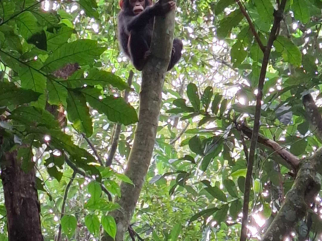 Gracious Tours & Travel-坎帕拉必去景点