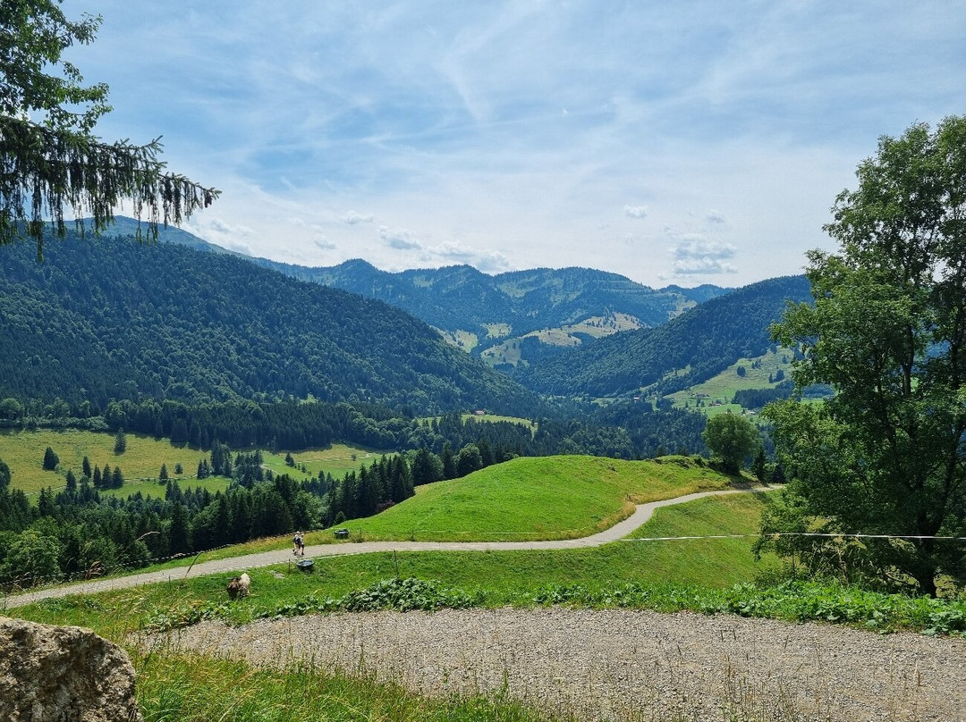 Huendle Erlebnisbahnen-上施陶芬必去景点