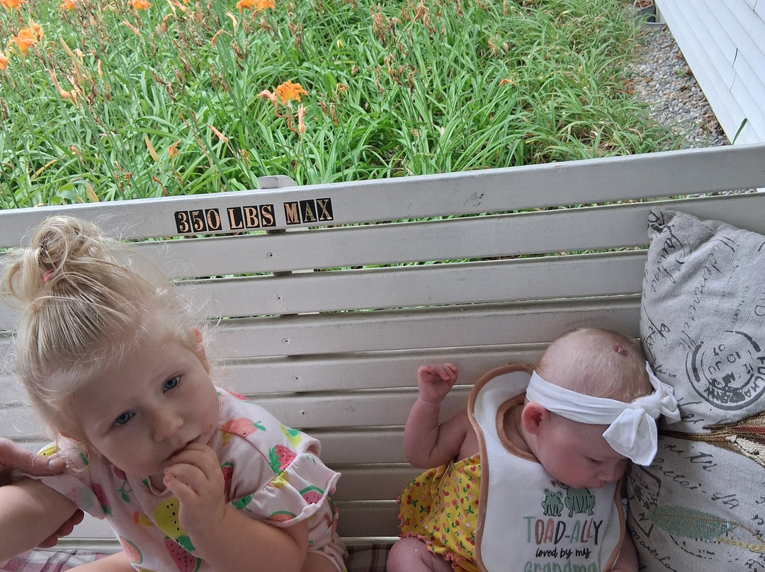 1887 Black Dog Inn主图