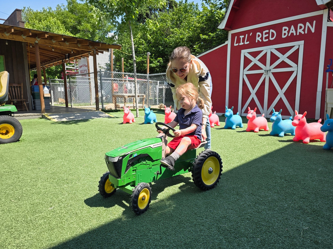 Don-O-Ray Farm Adventure-基洛纳必去景点