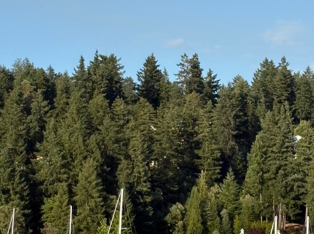 Gig Harbor Gondola-吉格港必去景点