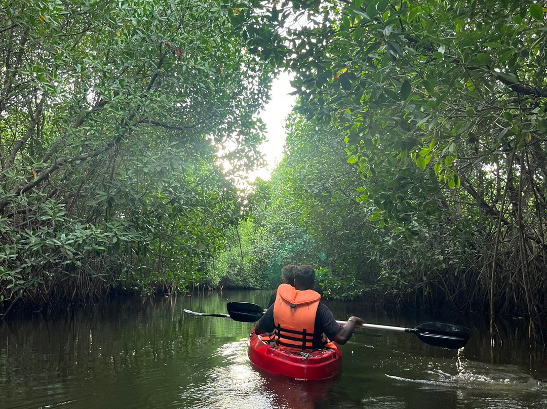 Ecologix Divers-Pasikuda必去景点