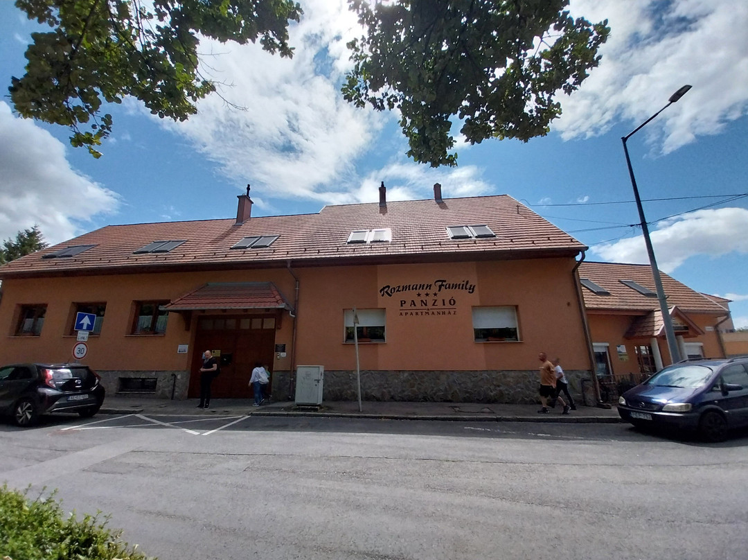 Rozmann Family Panzio & Apartmanhaz主图
