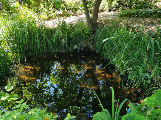 Tresillian House B&B主图