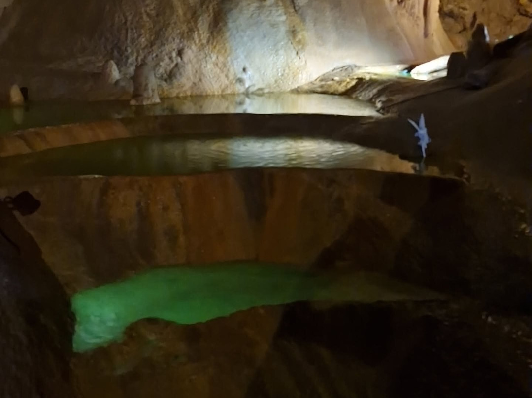 Grotte de Baume Obscure-Saint-Vallier-de-Thiey必去景点