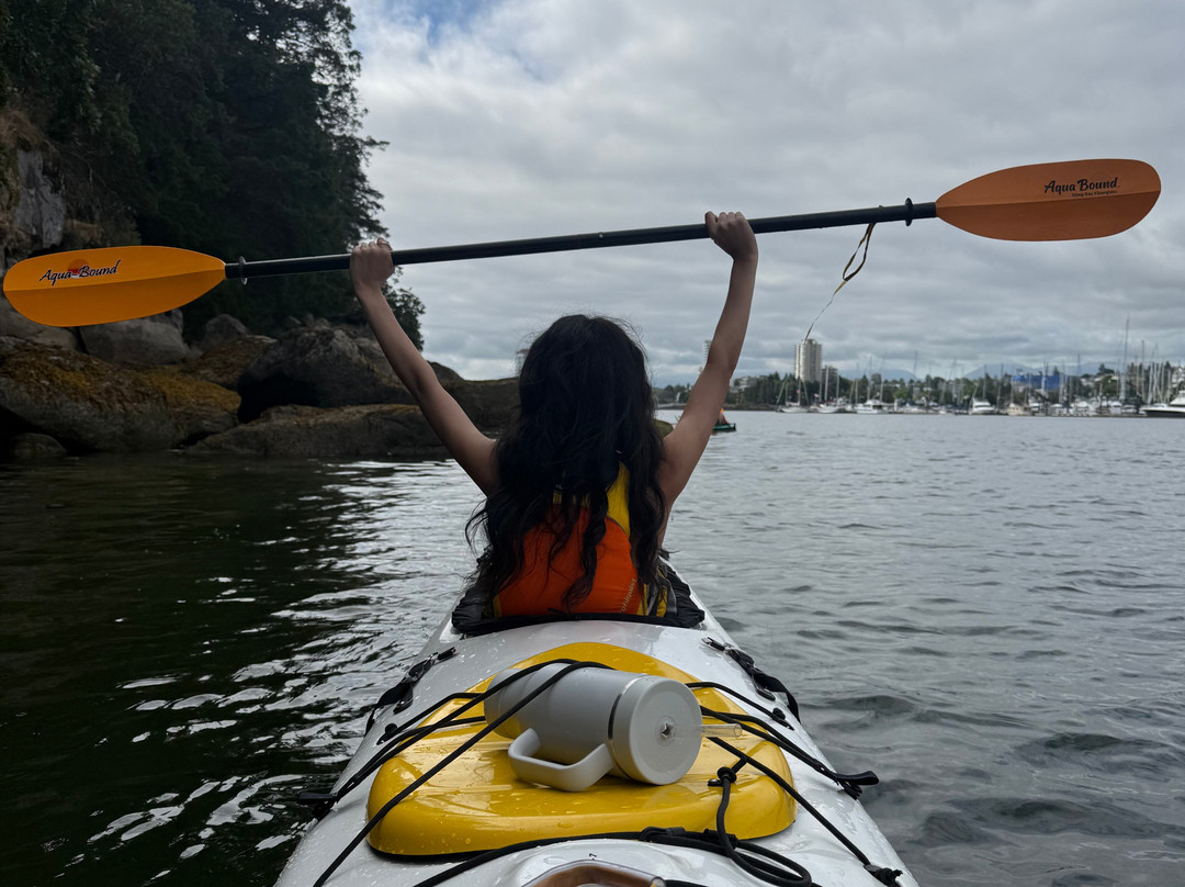 Island Römer Adventures-纳奈莫必去景点