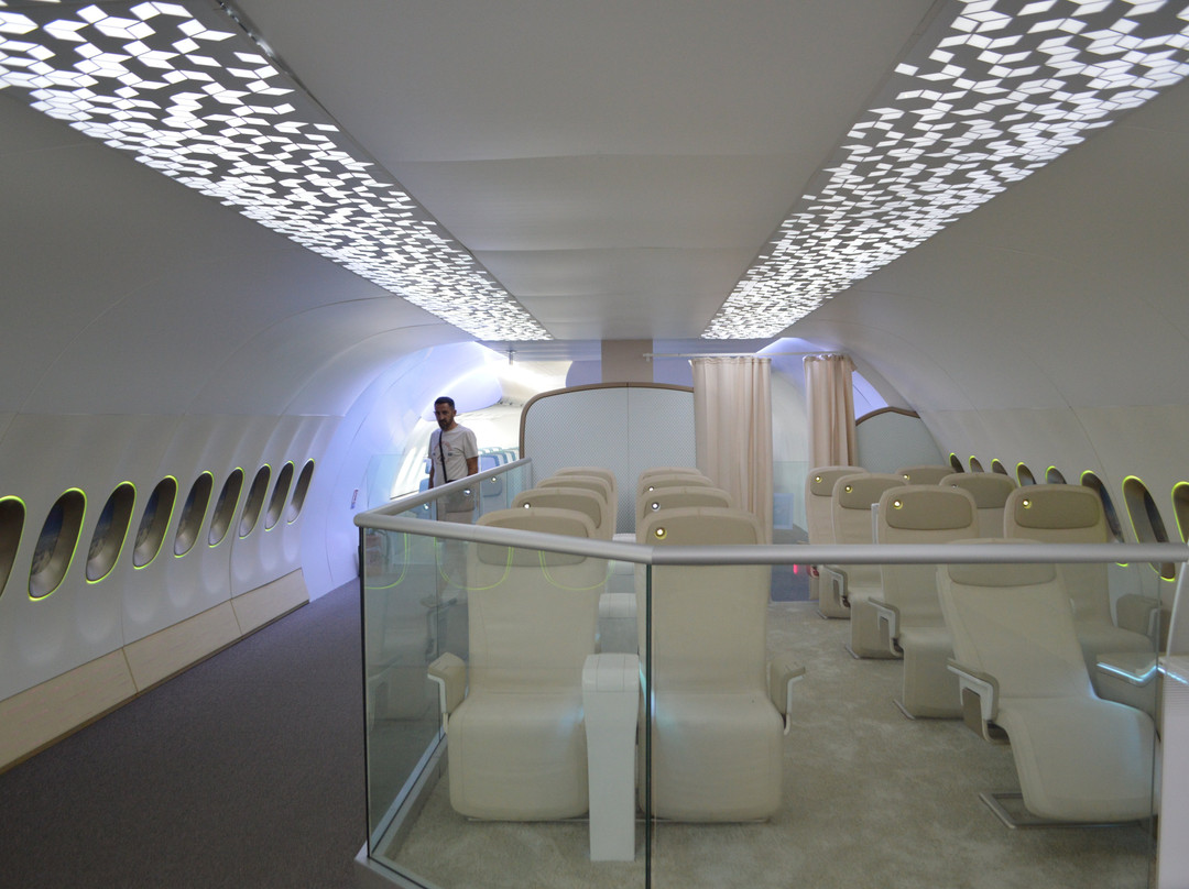 Aeroscopia-布拉尼亚克必去景点