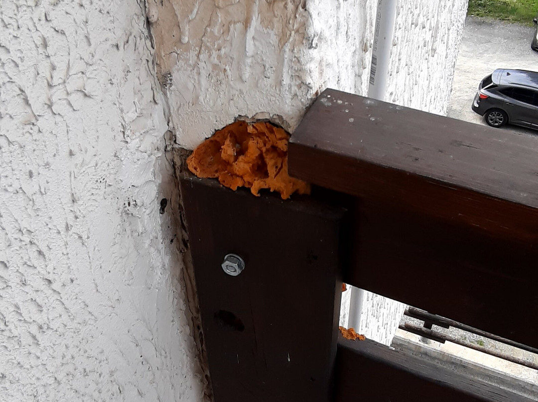 HG Hotel Italia主图