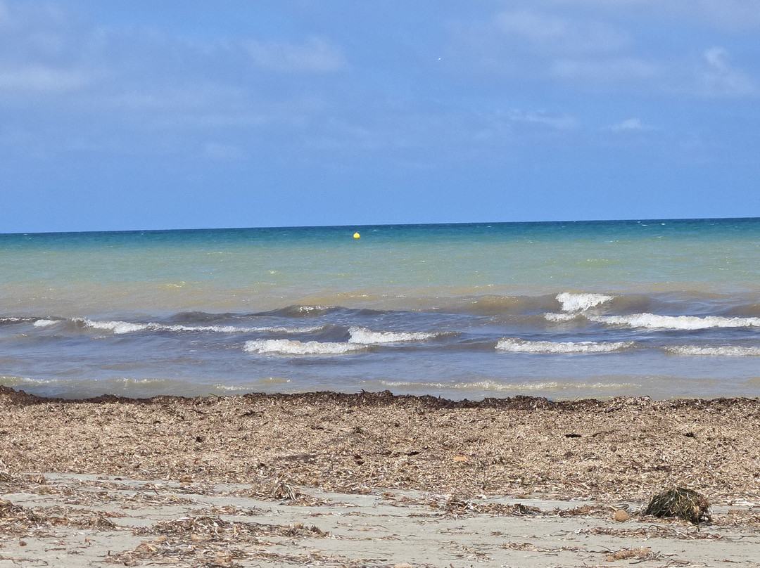 Playa de la Llana-Lo Pagán必去景点