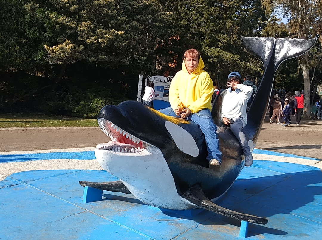 Mundo Marino-圣克莱门特雷图尤必去景点