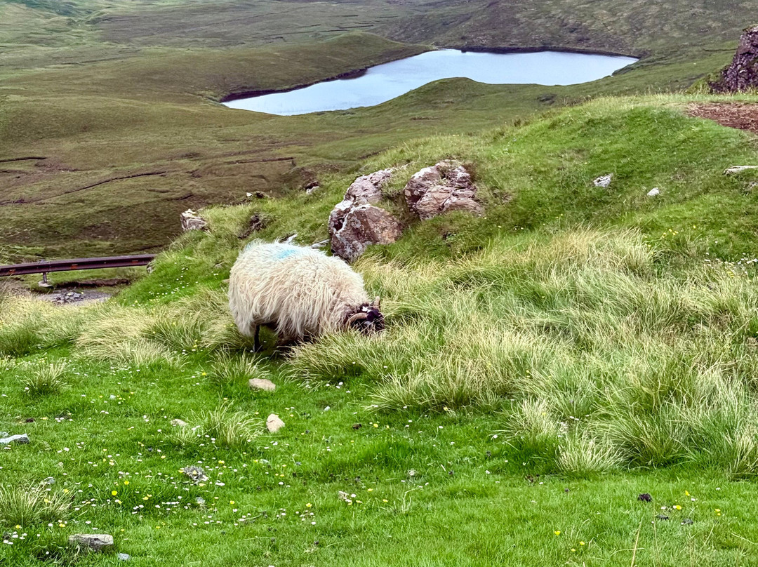 Skye Local Tours-Broadford必去景点