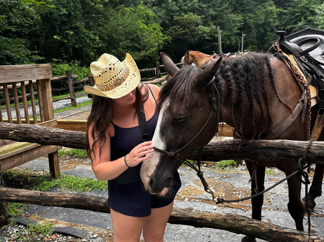 Sugarland Riding Stables-盖林柏格必去景点
