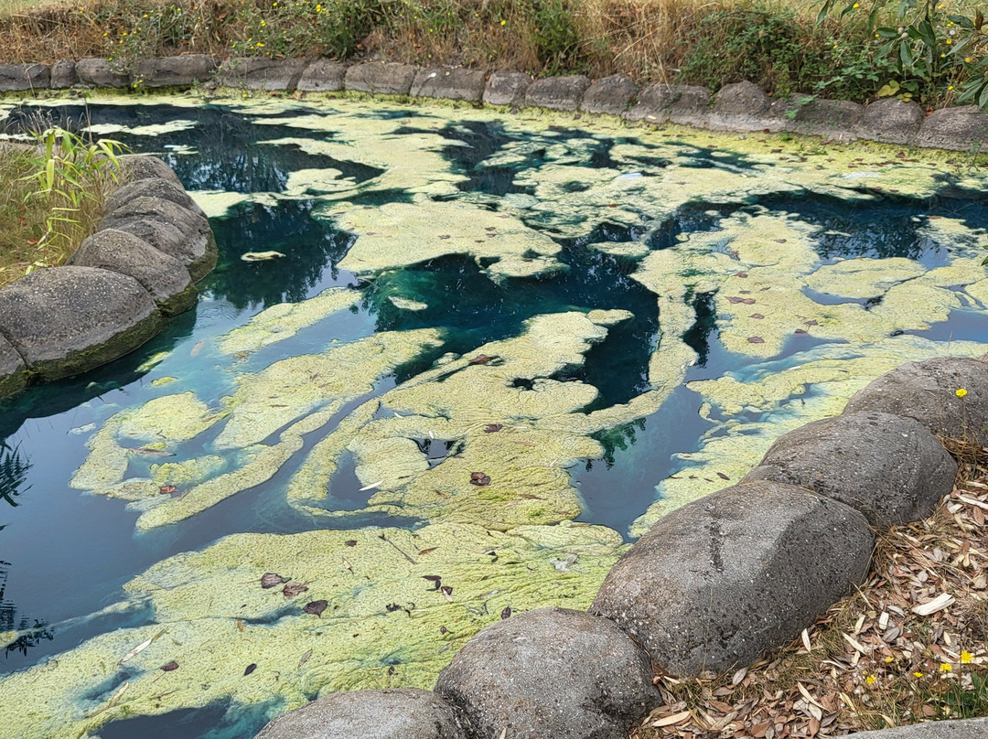 Dinosaur Escape Adventure Golf-Northolt必去景点