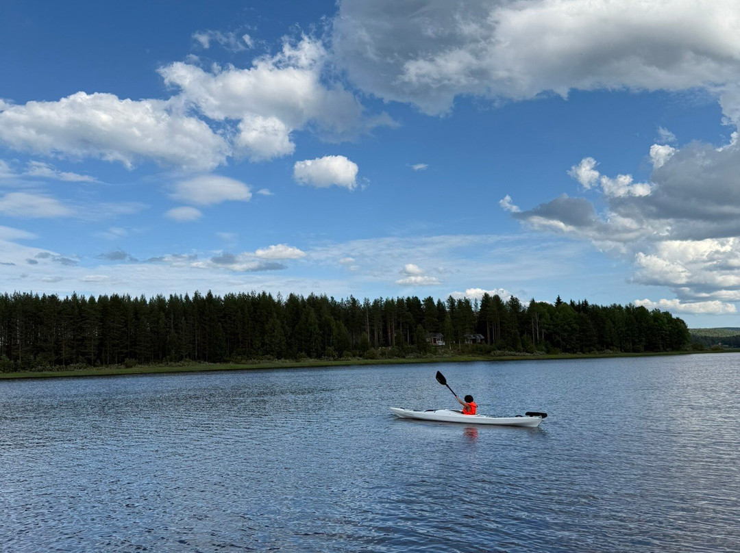 Blueberry Lodge Tours and Activities-Overkalix必去景点