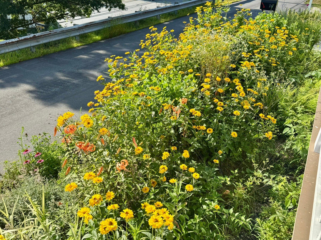 Harvest Barn Inn主图