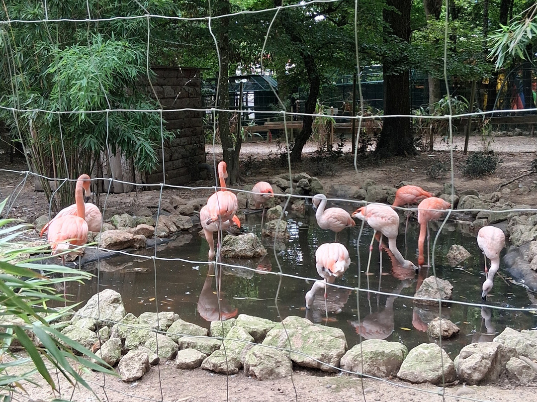 Ferme-Rieumes必去景点