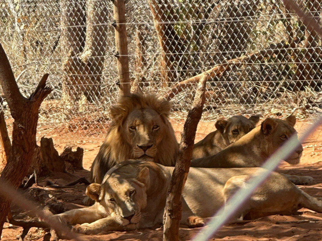 Mukuni Big 5 Safaris Limited-李文斯顿必去景点