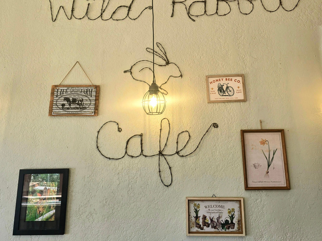 The Wild Rabbit Cafe