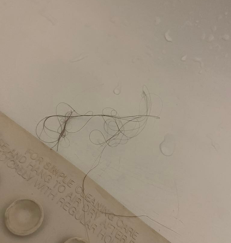 Hôtel Québec Inn主图