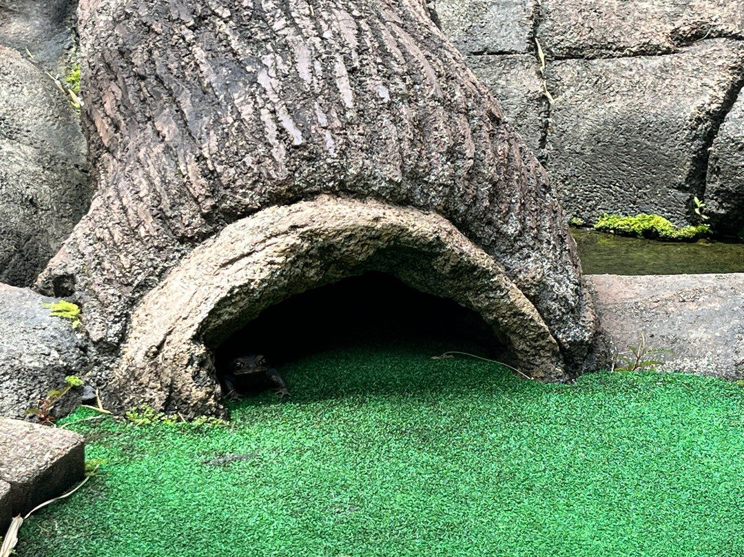 Kauai Mini Golf & Botanical Gardens-基拉韦厄必去景点