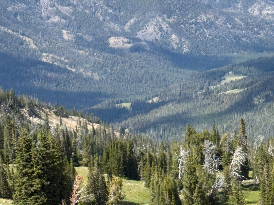 Yellowstone Horse And Mule-雷德洛治必去景点