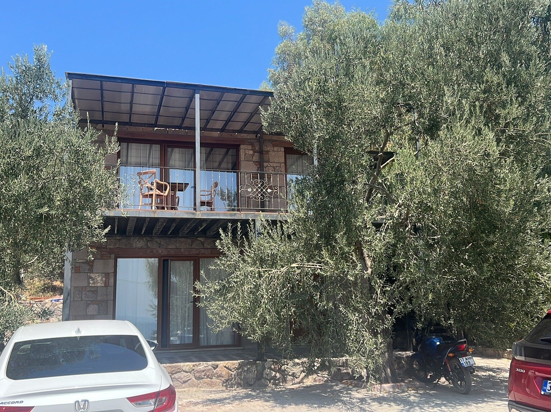 Assos Hestia Otel主图