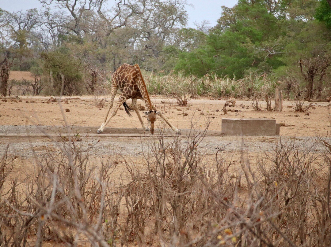 Nandzana Safaris-伐拉博瓦必去景点